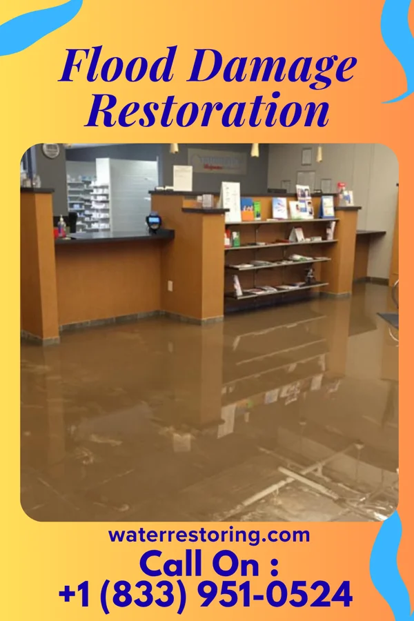 Flood Damage Restoration in Furley, KS