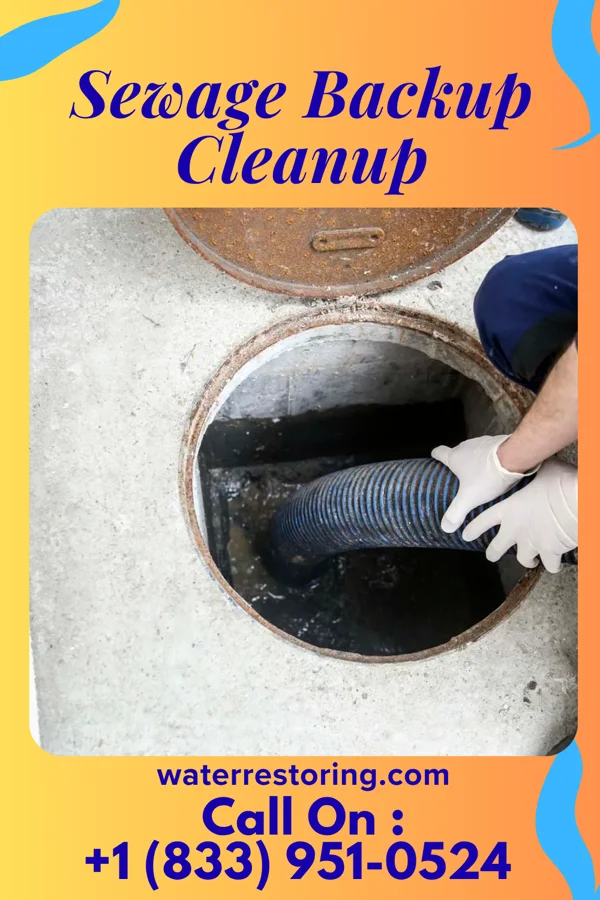 Sewage Backup Cleanup in Furley, KS