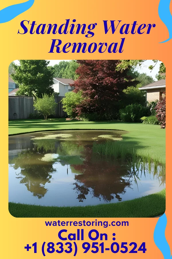 Standing Water Removal in Furley, KS